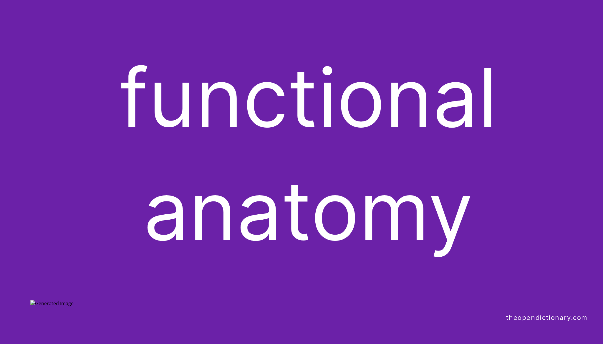 functional-anatomy-meaning-of-functional-anatomy-definition-of